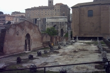 BASILICA PAULLI / BASILICA AEMILIA PORTICUS GAI ET LUCI in Rom, Photo by Franz Xaver Schütz and Chrystina Häuber