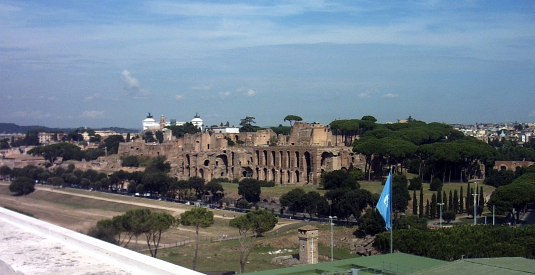 CIRCUS MAXIMUS Rom 2008 Blick in Richtung Palatin von oben, Dr. Franz Xaver Schütz und Dr. Chrystina Häuber