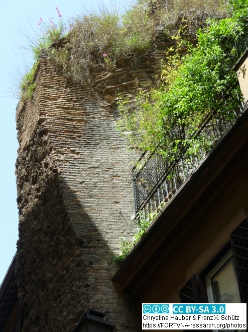 THERMAE AGRIPPAE, Via dell'arco della Ciambella, ROMA, Rom, Rome, Photos by Chrystina HÄUBER, Franz Xaver SCHÜTZ